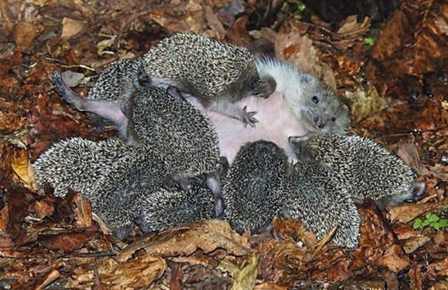 Interesting Photos (48 pics)