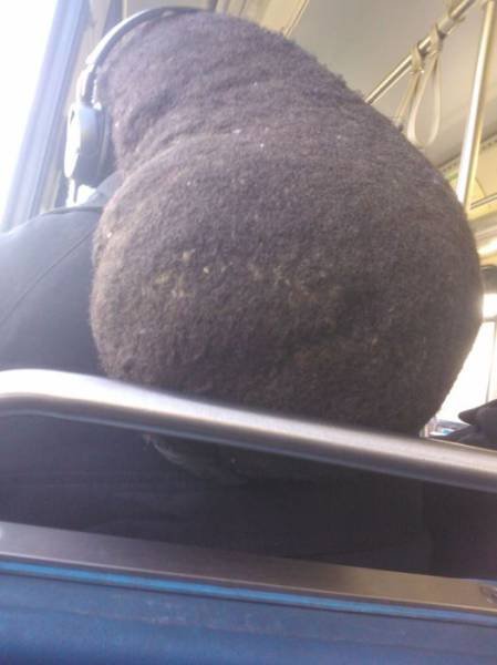 Awful Haircuts (31 pics)