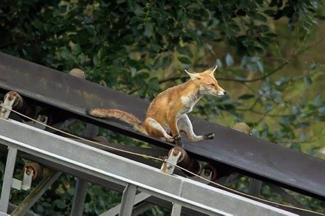Interesting Photos (48 pics)