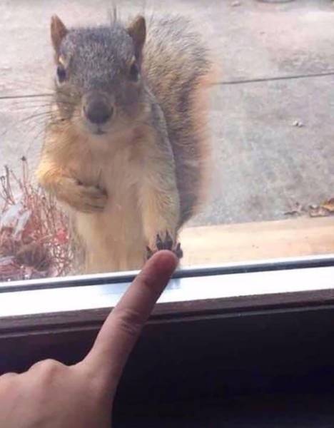 Interesting Photos (48 pics)