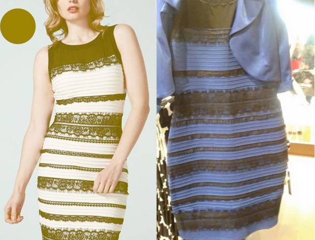 Crazy Things From The Internet (24 pics) Crazy Things From The Internet (24 pics)