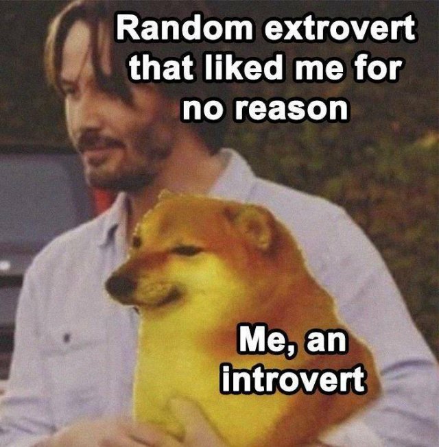 Memes About Introverts (23 pics)
