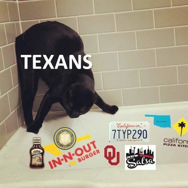 Texas Memes (29 pics)