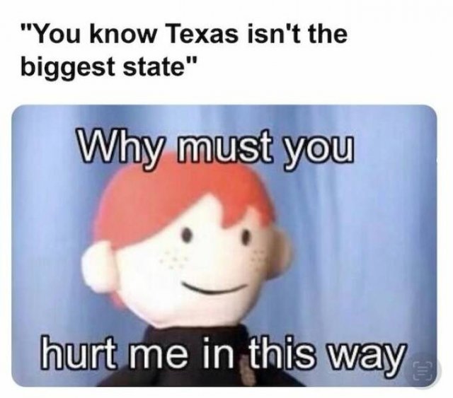 Texas Memes (29 pics)