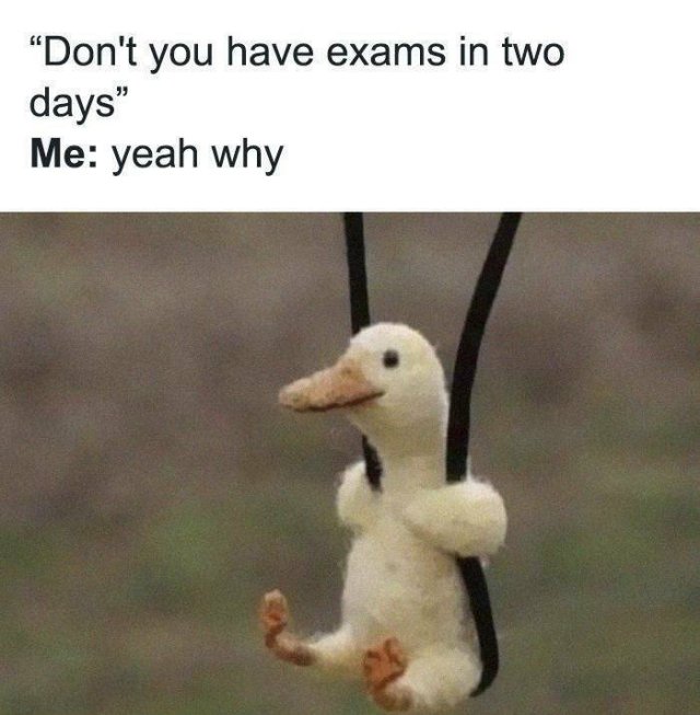 Memes About Introverts (23 pics)