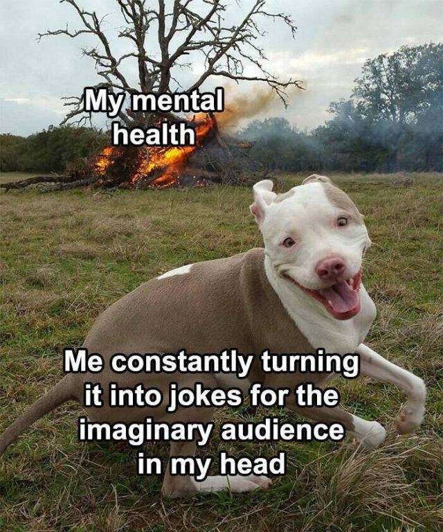 Memes About Introverts (23 pics)