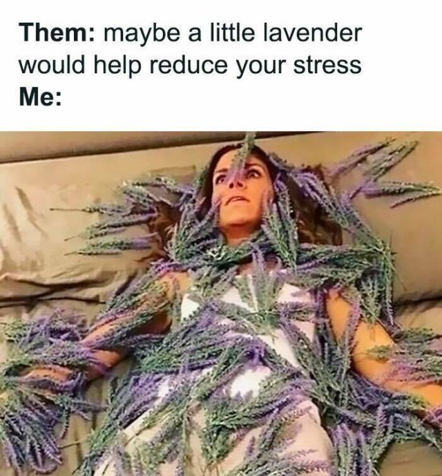 Memes About Introverts (23 pics)