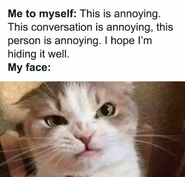 Memes About Introverts (23 pics)