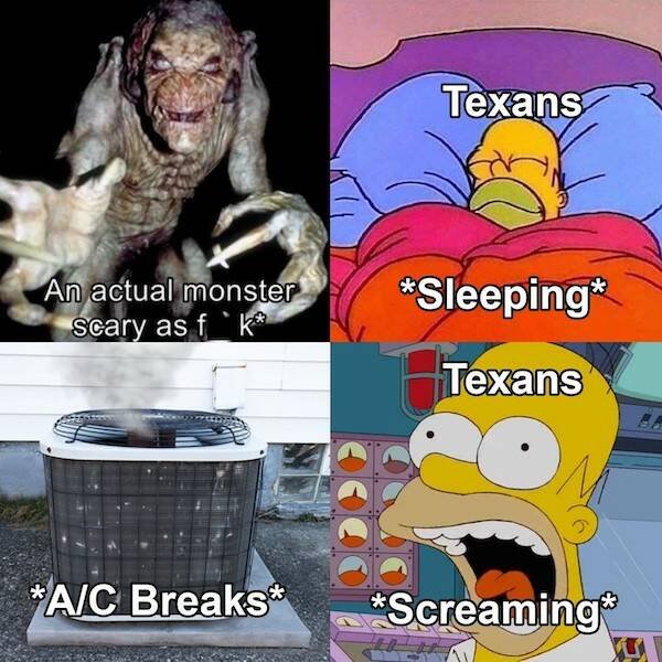 Texas Memes (29 pics)