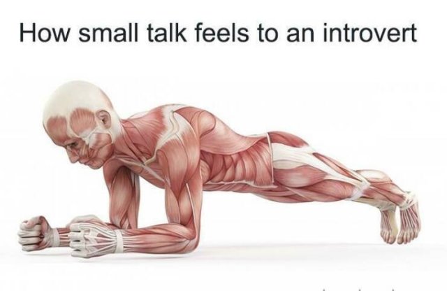 Memes About Introverts (23 pics)
