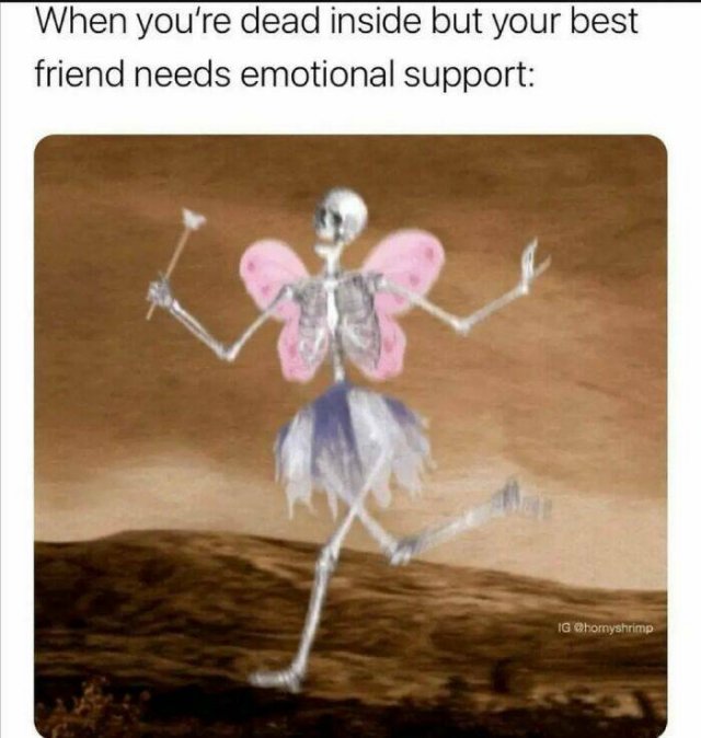 Memes About Introverts (23 pics)