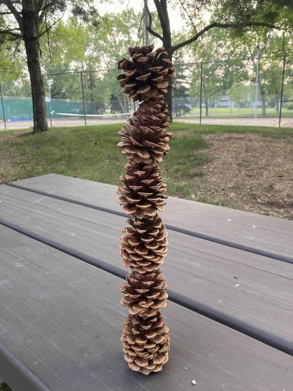 Cool DIY Crafts (25 pics)
