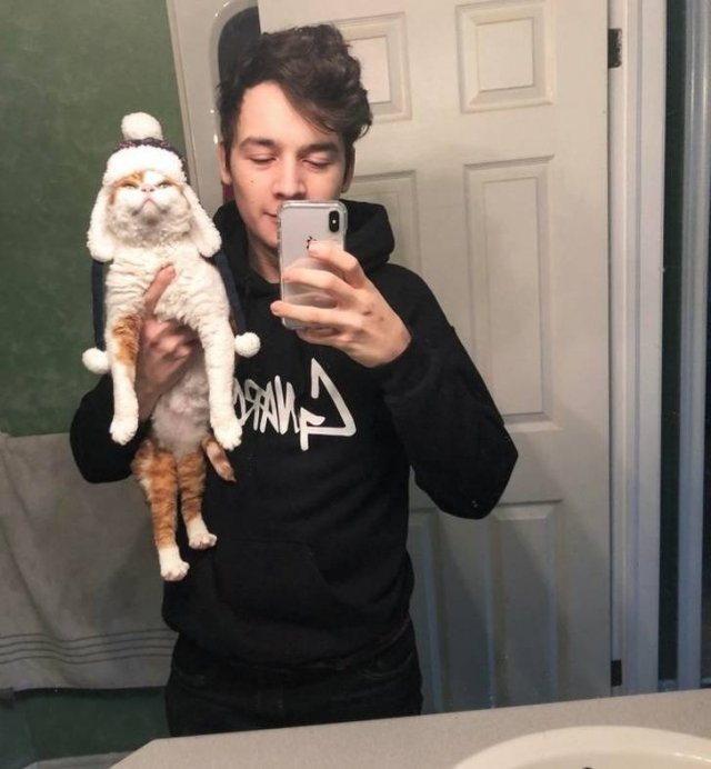 Cute And Funny Animals (75 pics)