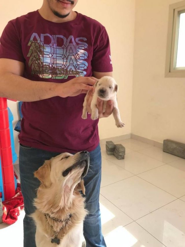 Cute And Funny Animals (75 pics)