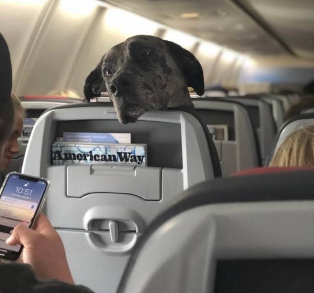 Cute And Funny Animals (75 pics)