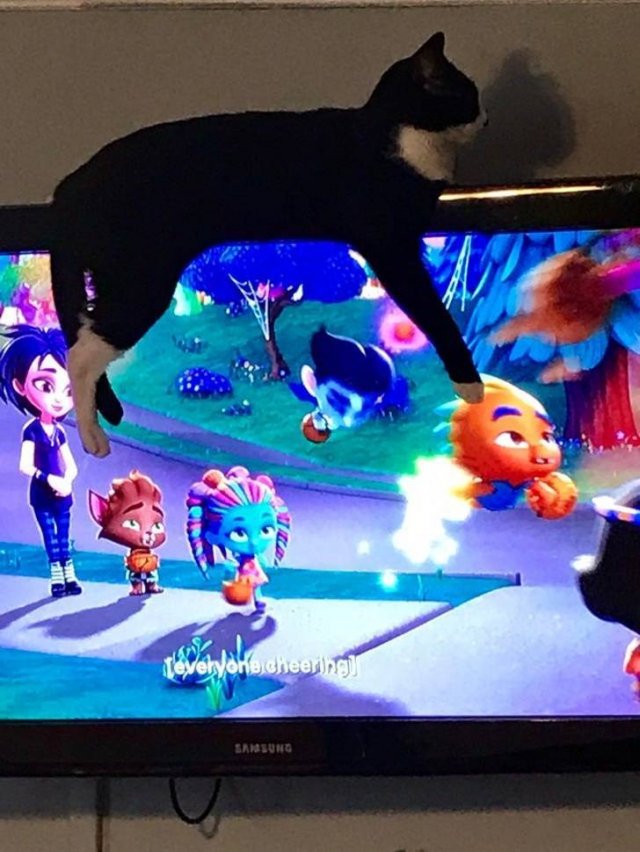 Cute And Funny Animals (75 pics)