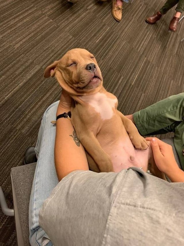 Cute And Funny Animals (75 pics)