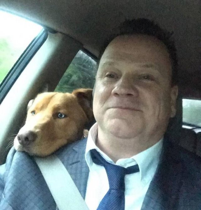 Cute And Funny Animals (75 pics)