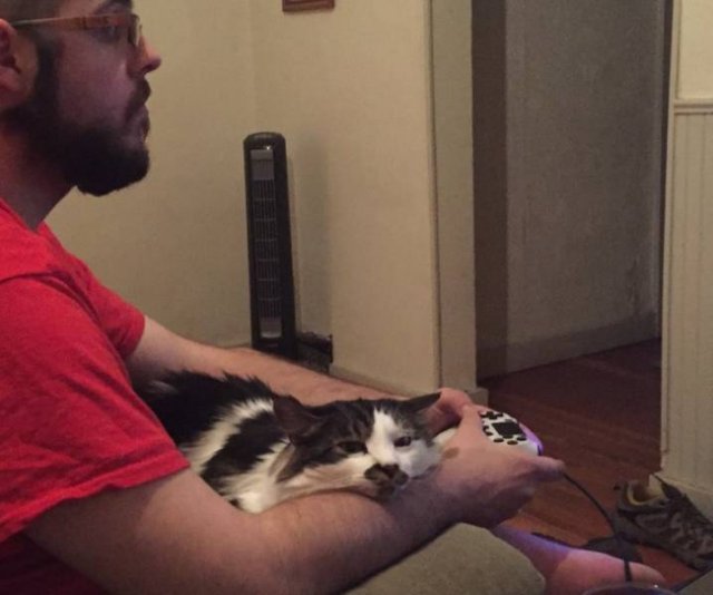 Cute And Funny Animals (75 pics)