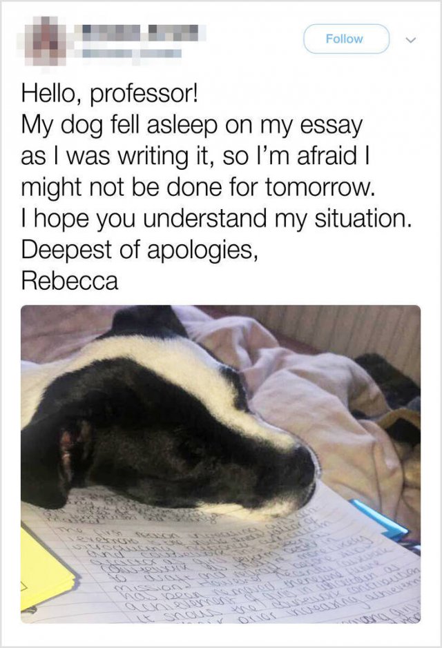 Cute And Funny Animals (75 pics)