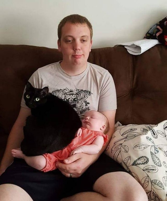 Cute And Funny Animals (75 pics)