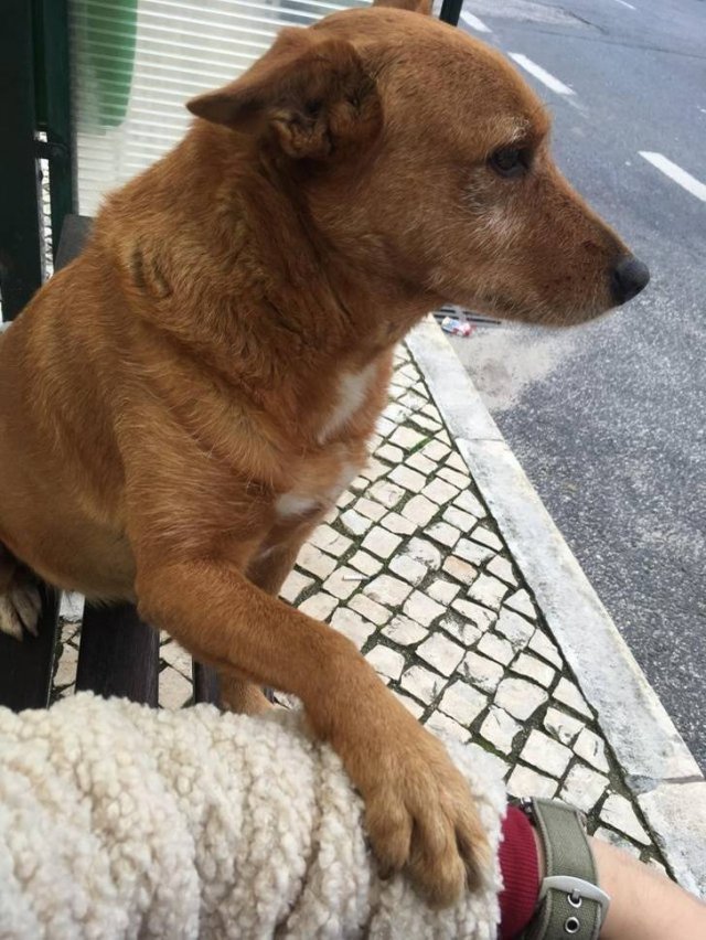 Cute And Funny Animals (75 pics)