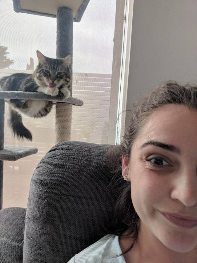 Cute And Funny Animals (75 pics)