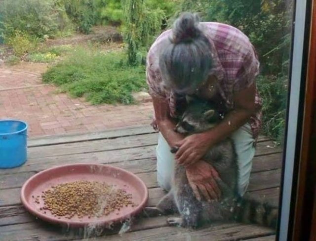 Cute And Funny Animals (75 pics)