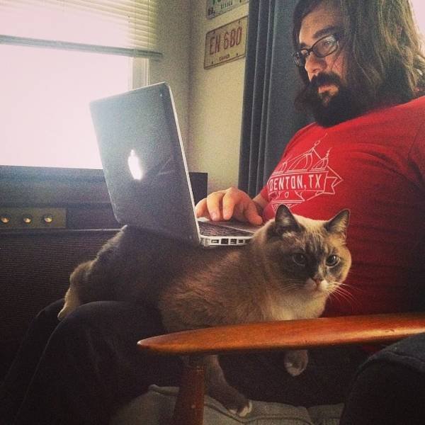 Cute And Funny Animals (75 pics)