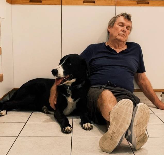 Cute And Funny Animals (75 pics)