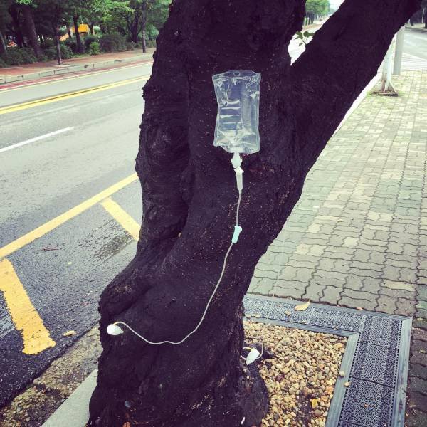 Interesting About South Korea (20 pics) Interesting About South Korea (20 pics)
