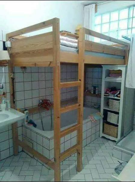 What Is Going On Here? (41 pics)