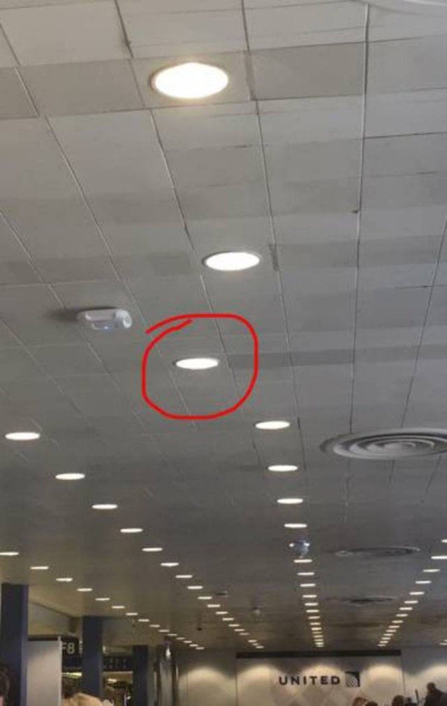 What Is Going On Here? (41 pics)