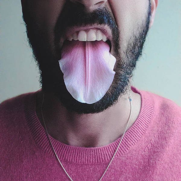 What Is Going On Here? (41 pics)