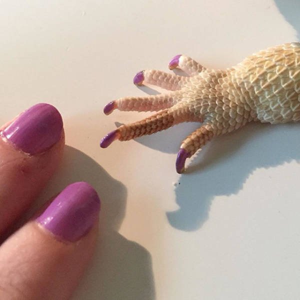 What Is Going On Here? (41 pics)