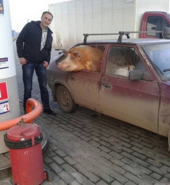 Strange Photos From Russia (42 pics)