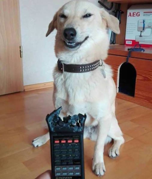 Bad Days Happen (43 pics)