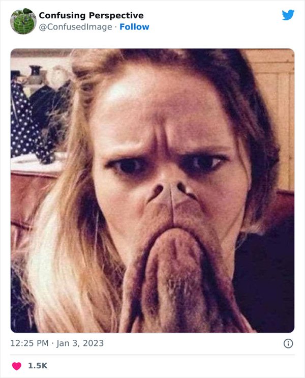 Optical Illusions (31 pics)