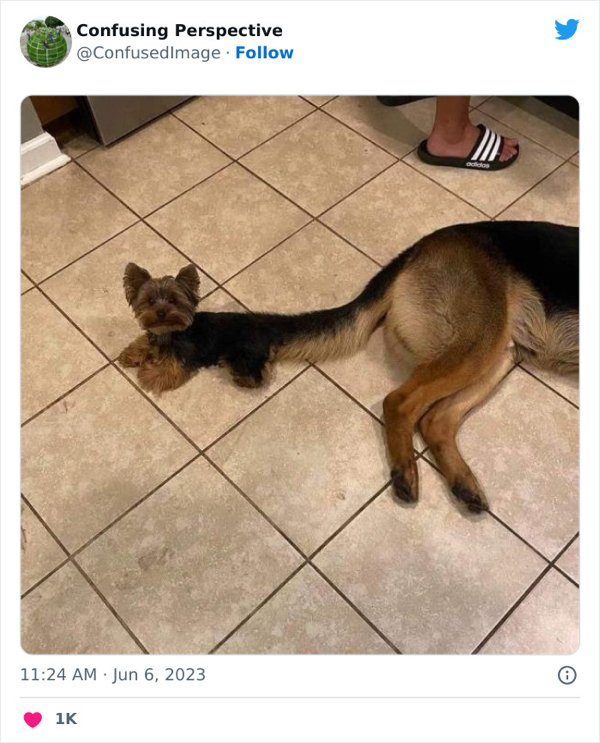 Optical Illusions (31 pics)