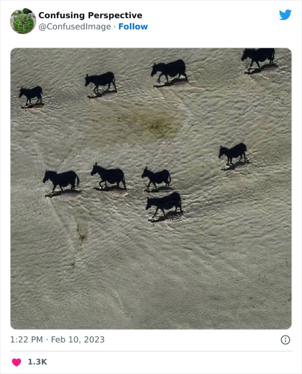Optical Illusions (31 pics)