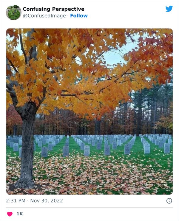 Optical Illusions (31 pics)