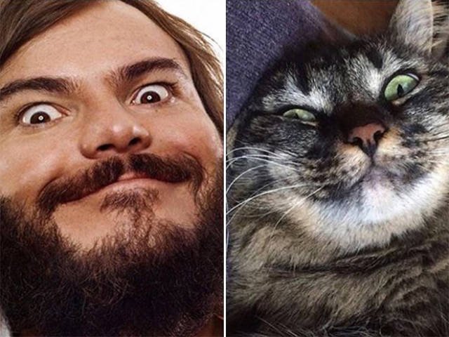 Celebrities And Their Animal ''Doppelgangers'' (20 pics)