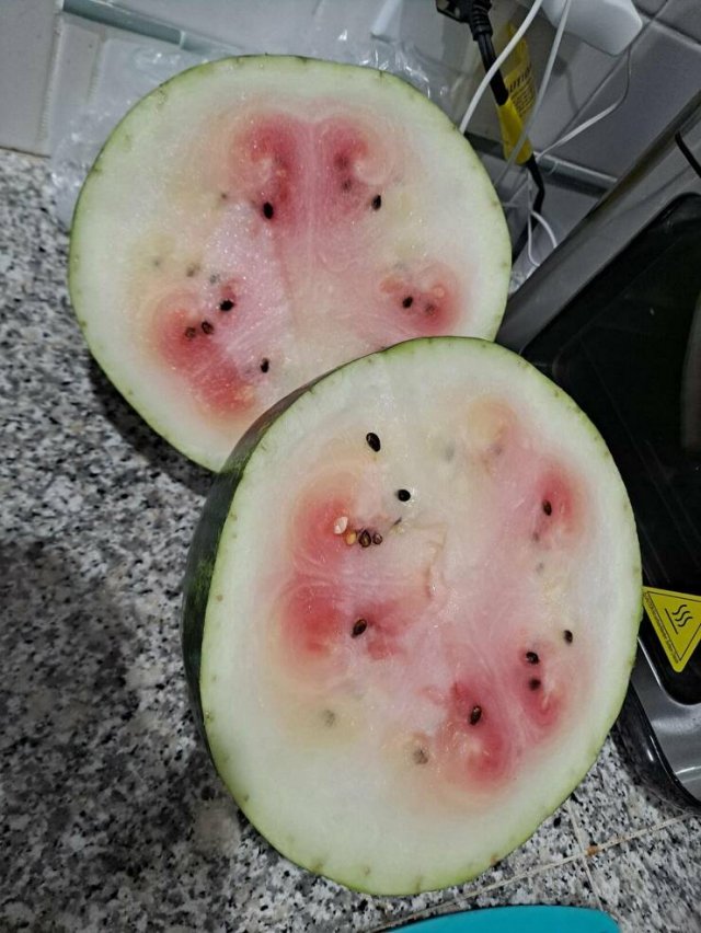 Bad Days Happen (47 pics)