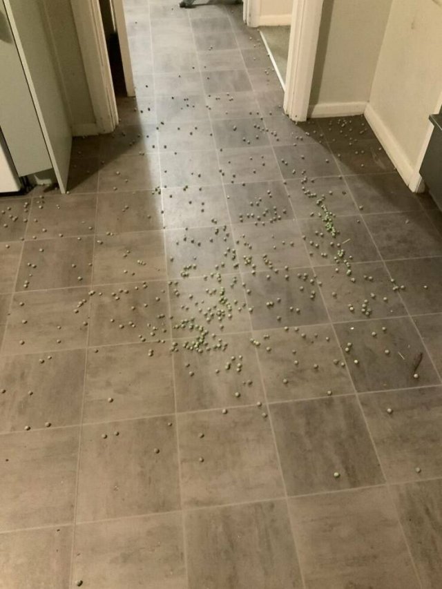 Bad Days Happen (47 pics)