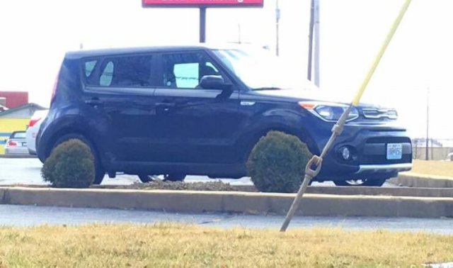 Unexpected Coincidences (25 pics)