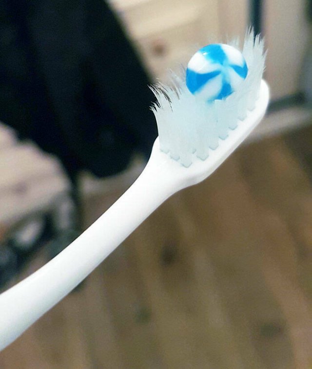 This Is Not Food (25 pics) This Is Not Food (25 pics)