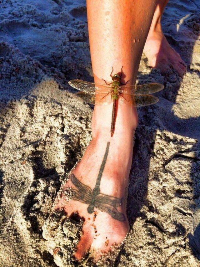 Unexpected Coincidences (25 pics)