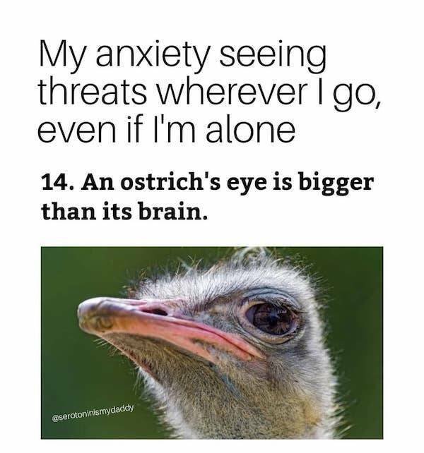 Memes About Mental Health (24 pics)