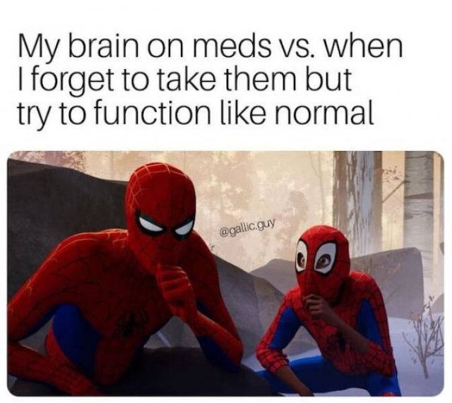 Memes About Mental Health (24 pics)