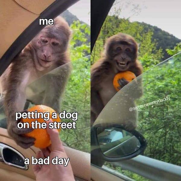 Memes About Mental Health (24 pics)